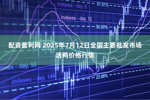 配资盈利网 2025年7月12日全国主要批发市场活鸭价格行情
